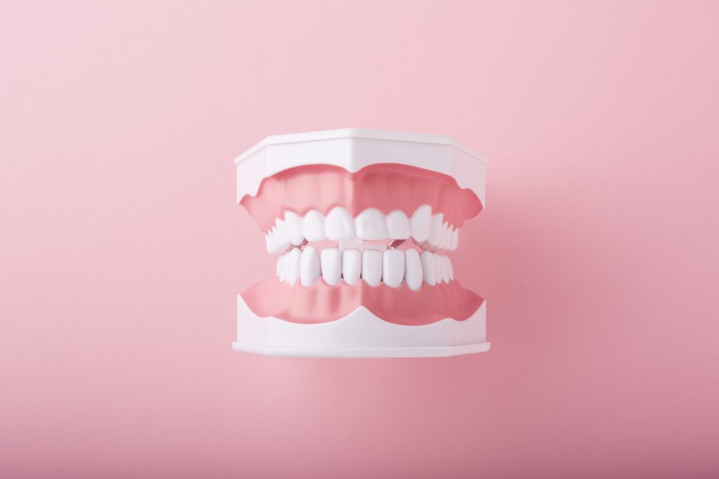 歯の模型とピンク色の背景の画像