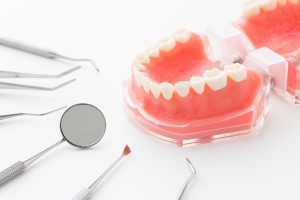 歯の模型,歯科治療器具