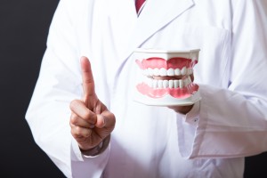 歯科医師,歯型模型