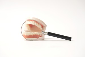 虫眼鏡で歯の模型を見る画像