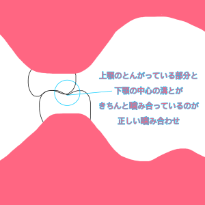 難波　歯列矯正　嚙み合わせ