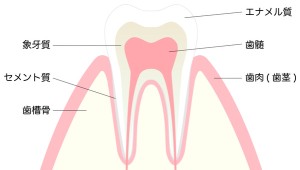 難波矯正歯科　歯科矯正
