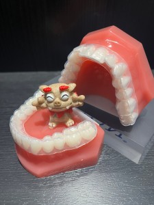 難波矯正歯科